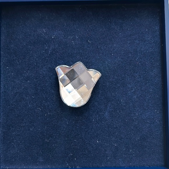 Swarovski Magnetic Charms - Picture 6 of 10